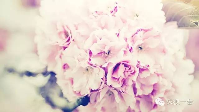 相濡以沫的情诗,相濡以沫情诗