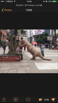 火力全开表情包,微信表情包真人斗图教程