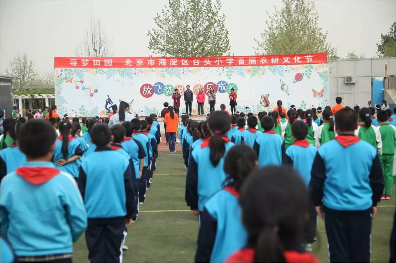 学校围观活动,围观校运会