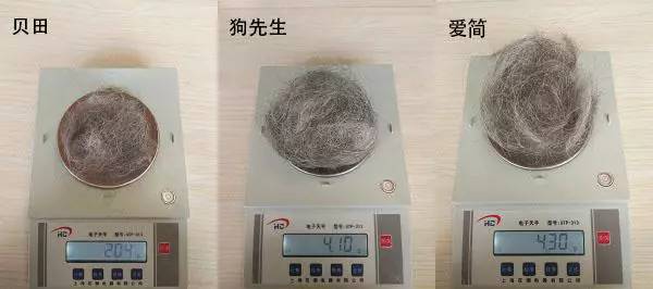 宠物去毛梳测评,猫毛梳测评真实