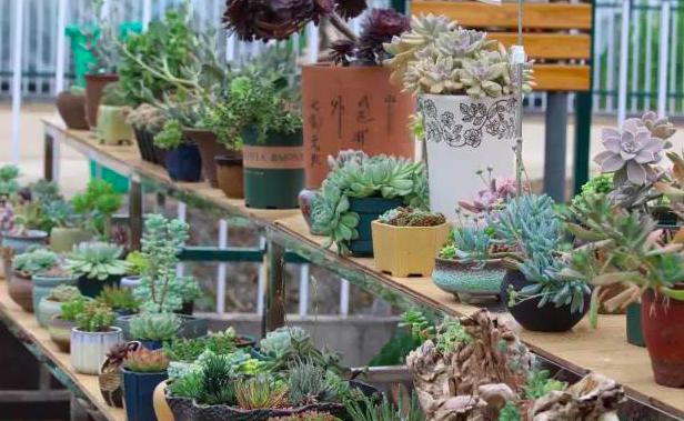 全国第三，江苏第一！阿里研究院公布的这个榜单，告诉你沭阳的实力！