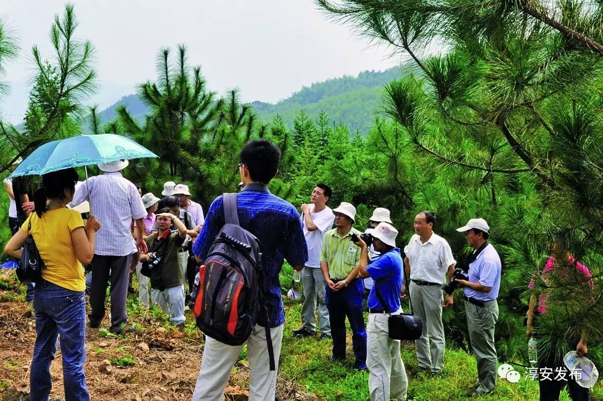 厉害了！淳安这个团队曾破解多个世界性难题，“五一”前又拿到国家级荣誉