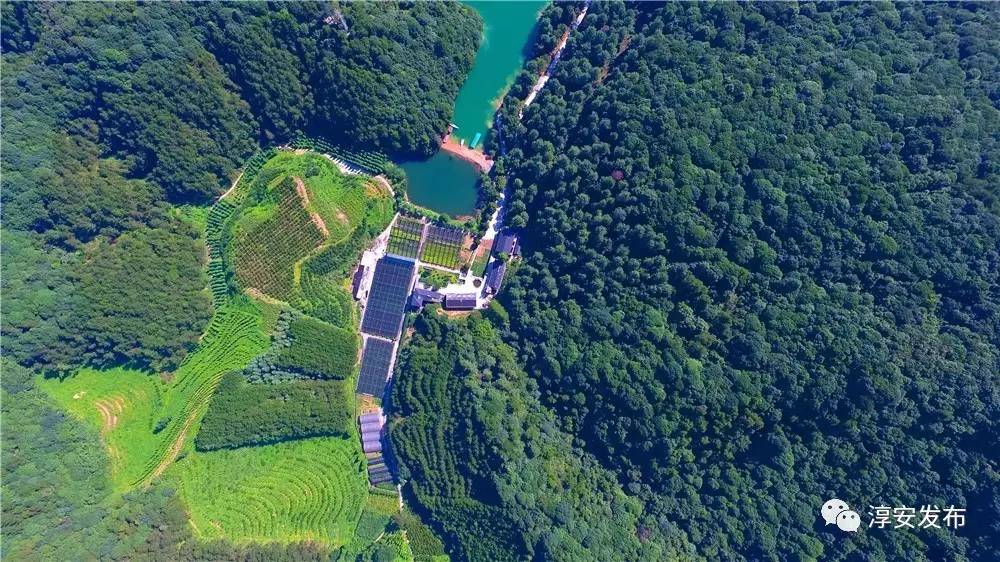 厉害了！淳安这个团队曾破解多个世界性难题，“五一”前又拿到国家级荣誉