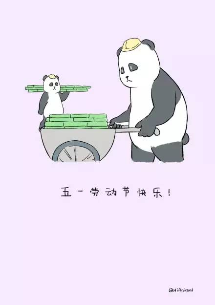 午间版：关系、躺列都是啥？二次元黑话不懂了！