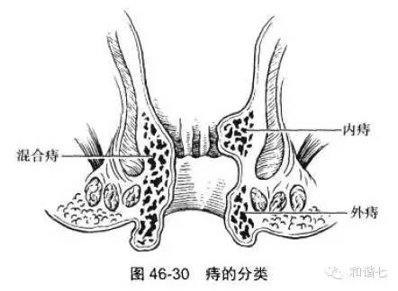 拿什么拯救你我的猪队友,拿什么拯救你我的姨妈痛