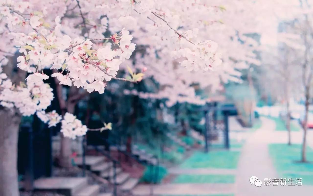 唱响青春之歌焕发青春风采,不忘初心唱响青春