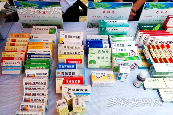 项目观摩会丨白及花一开幸福自然来