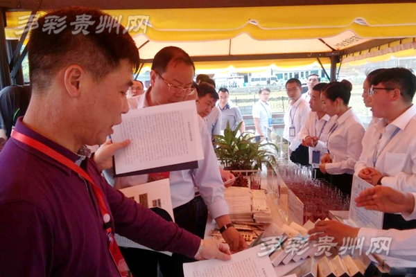 项目观摩会丨白及花一开幸福自然来