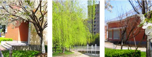 华师大长宁区,上海华师大附属小学和临港明珠