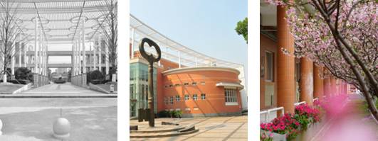 华师大长宁区,上海华师大附属小学和临港明珠