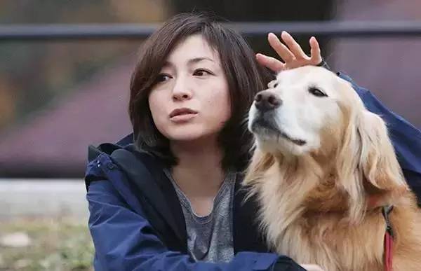 寒假必刷三部美剧,推荐看的日韩剧