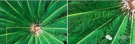 小米5爆屏图片,小米5真机谍照曝光