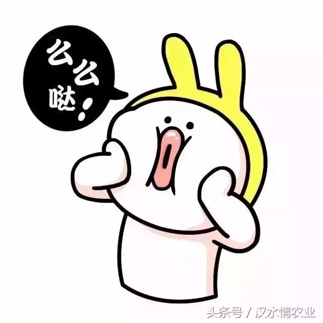 羊奶果酸酸甜甜,羊奶果酸酸甜甜的