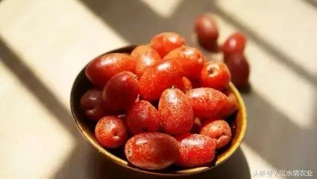 羊奶果酸酸甜甜,羊奶果酸酸甜甜的