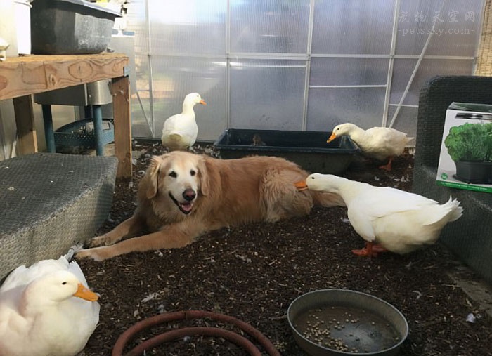 真正的友谊不会因为你不在乎,真正的友谊不会计较细节