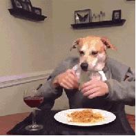 孤单寂寞冷，「alone，lone」傻傻分不清！