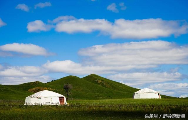 目前国内哪些证含金量高,国家含金量高的证有哪些