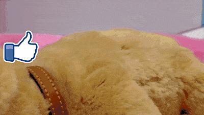 给女儿买什么玩具比较合适,7种儿童玩具推荐给新手父母