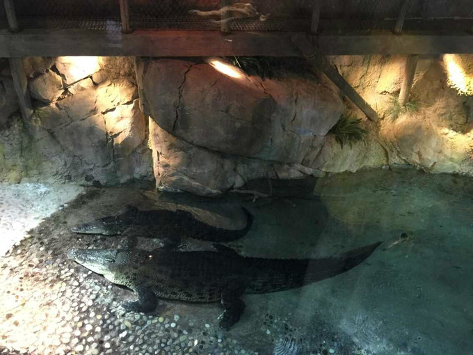 一个人穷游中国迪拜游记,迪拜穷游自由行攻略