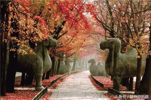 目前国内哪些证含金量高,国家含金量高的证有哪些