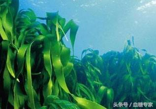 吃什么菜降血压降血糖最快,吃什么菜能降血糖最有效