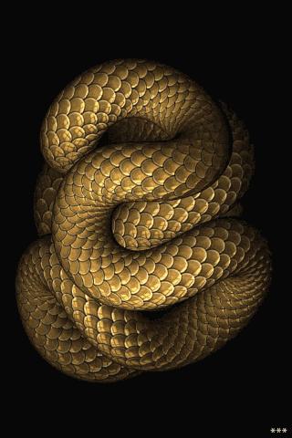 小明买酒的笑话全集,小明笑话大全爆笑100个