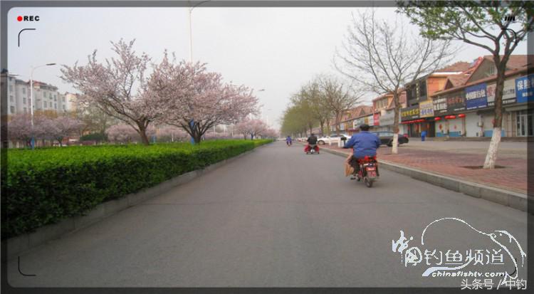 放流才有路亚的乐趣,放流能让资源更丰富