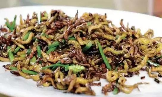 活老鼠、可爱兔兔、牛粪……这些你敢吃吗？有人视它为美食！