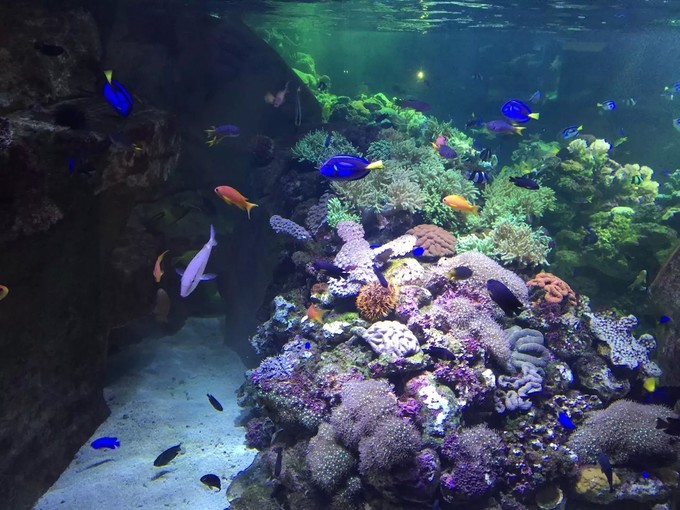 一个人穷游中国迪拜游记,迪拜穷游自由行攻略