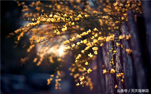 生活简单美好的句子发朋友圈说说,生活努力劳碌励志句子发朋友圈