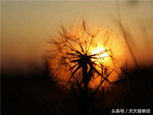 生活简单美好的句子发朋友圈说说,生活努力劳碌励志句子发朋友圈