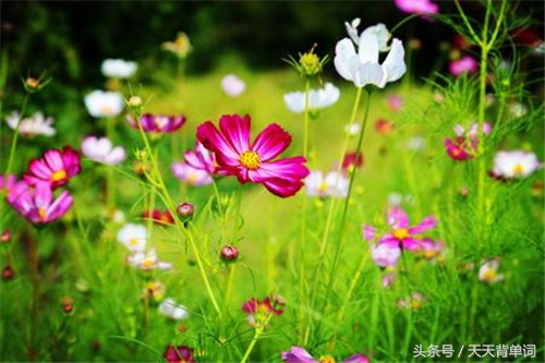 生活简单美好的句子发朋友圈说说,生活努力劳碌励志句子发朋友圈