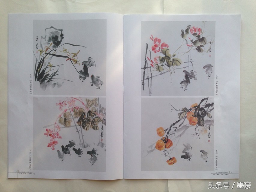 公鸡母鸡组合画法,柿子公鸡写意画法