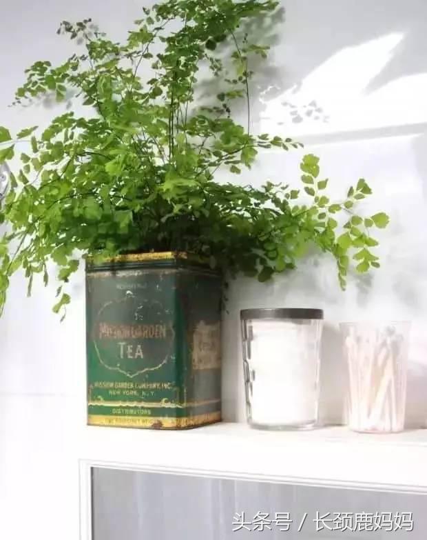 食物盒罐手工制作大全,怎样做一个简单又好看的储存罐