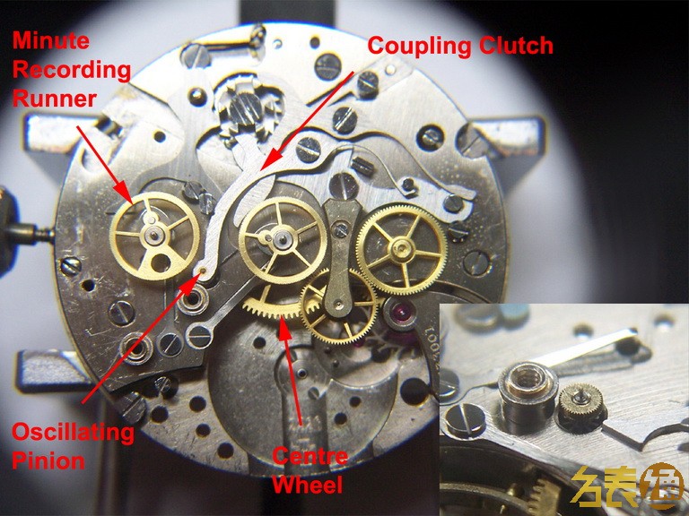 豪雅计时功能,豪雅自动计时先驱功能