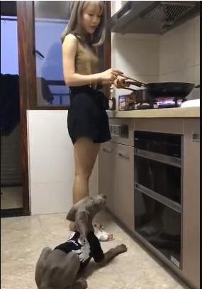 小姨子做饭,小姨子在厨房做饭