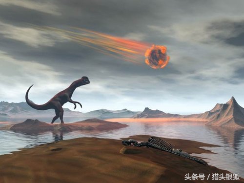 恐龙灭亡真相揭秘,各类恐龙生活的年代及灭亡时间