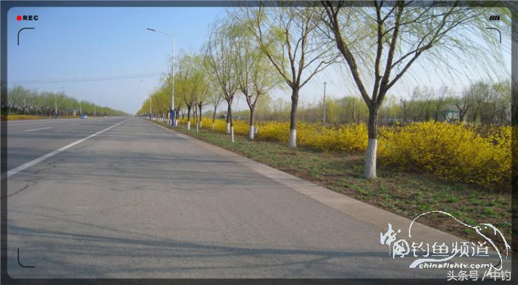 放流才有路亚的乐趣,放流能让资源更丰富