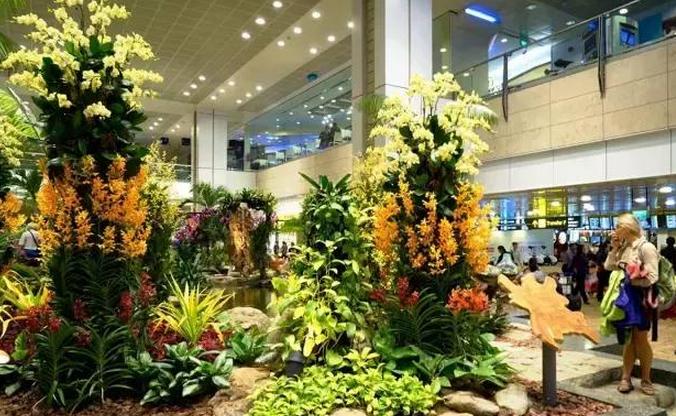 亚洲机场免税店攻略,机场免税店必买品清单