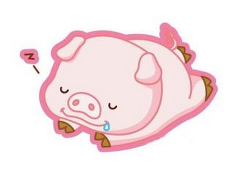 各生肖今天的运势及运程,今年的各个生肖的运势图