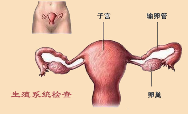 备孕必做检查准爸准妈千万别忽略,孕前优生优育检查项目有哪些