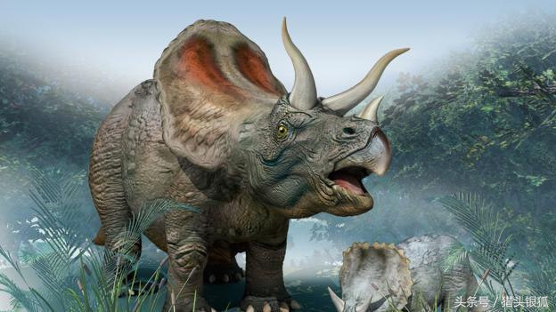 恐龙灭亡真相揭秘,各类恐龙生活的年代及灭亡时间