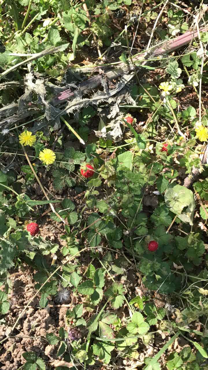 乐海水世界是不是只能夏天去玩,乐海水世界游玩