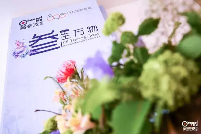吴晓波未来十年的最大机会,吴晓波谈未来5年