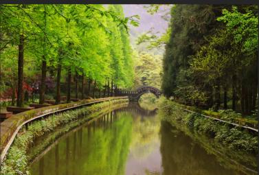 最好用的手机图片处理软件,手机图片处理软件有哪些免费的