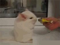 小明买酒的笑话全集,小明笑话大全爆笑100个