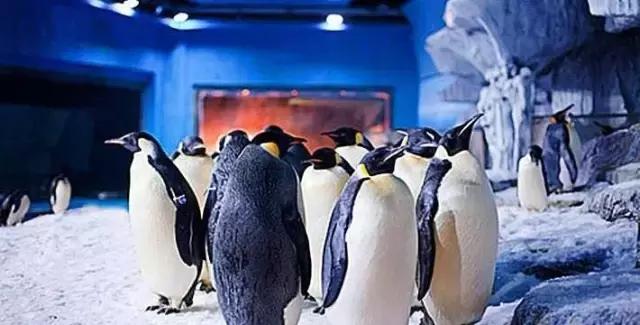 地铁8号线全线开通了吗,地铁8号线是什么时候开通的