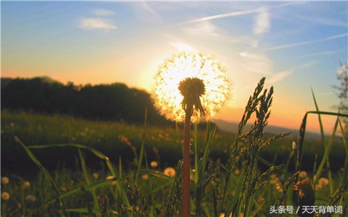 生活简单美好的句子发朋友圈说说,生活努力劳碌励志句子发朋友圈