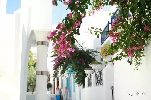 中国的哲学智慧,中国的哲学和西方的科学