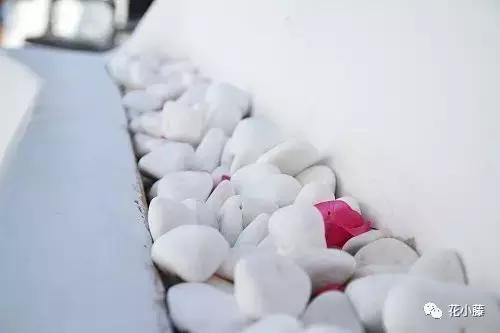 中国的哲学智慧,中国的哲学和西方的科学